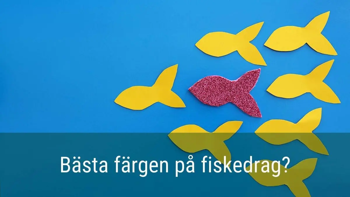 Vilken färg är bäst på fiskedrag?