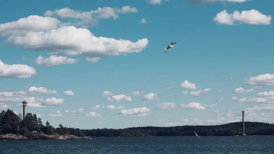 Öppet vatten med flygande fåglar och skogsklädda öar i Örebro län