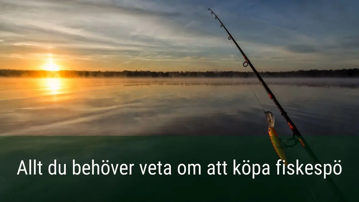 Den stora guiden för dig som ska köpa fiskespö