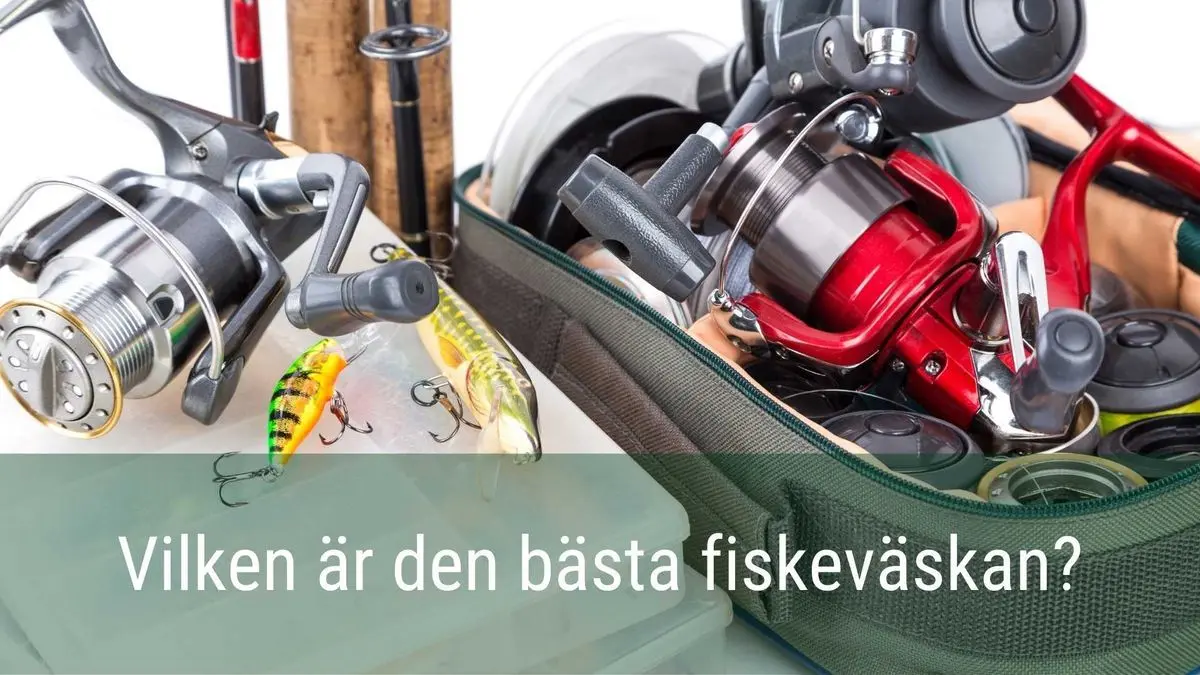 De bästa fiskeväskorna på marknaden: Recensioner och köpguide